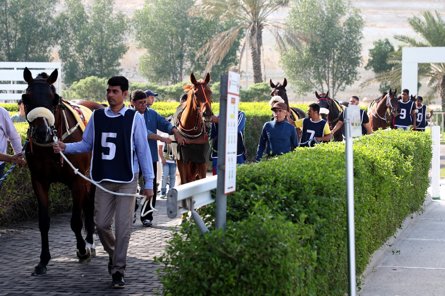 The Rashid Equestrian and Horse Racing Club organises fifth race of the season Bahrain News Agency